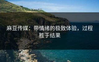 麻豆传媒：带情绪的极致体验，过程胜于结果