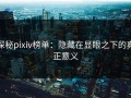 探秘pixiv榜单：隐藏在显眼之下的真正意义